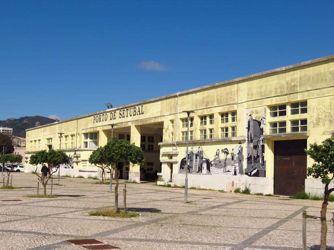 colegio Montessori para familias de Duquesa - Aula Montessori con edades mezcladas, aprendiendo juntos