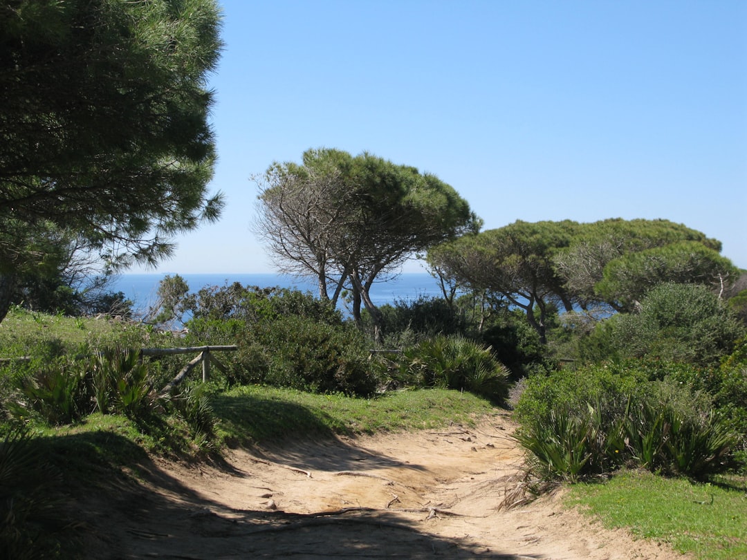 Escuela Montessori en Campo de Gibraltar - Vista aérea de Sotogrande y su entorno natural