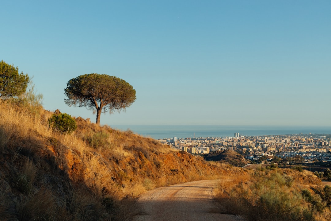 colegio infantil Montessori en Marbella - Familia en el trayecto matutino hacia Sotogrande por la Costa del Sol