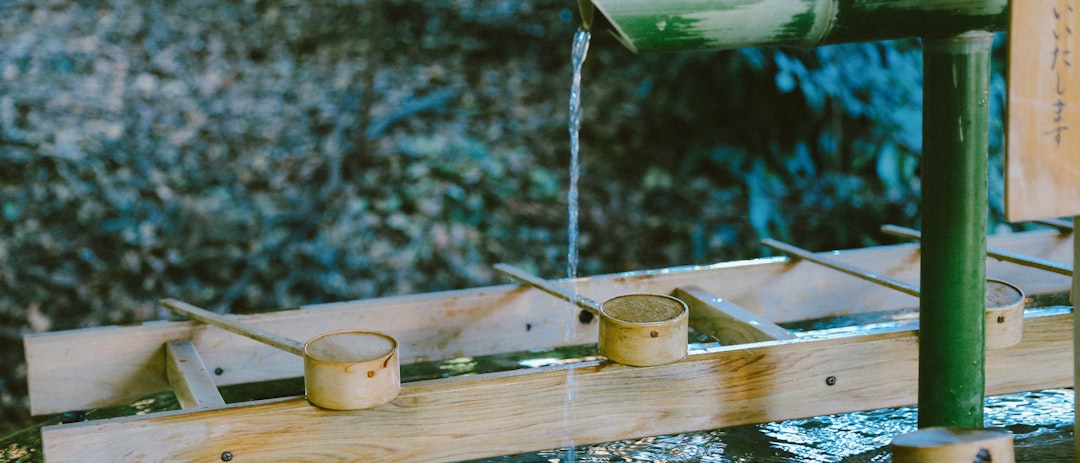 Casa de Niños Montessori cerca de San Roque - Actividad de vida práctica: verter agua con control y concentración