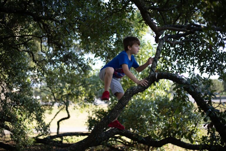 internationale Schule Sotogrande - Kindererziehung ohne Handy & Tablet: So begrenzen Sie Bildschirmzeit richtig