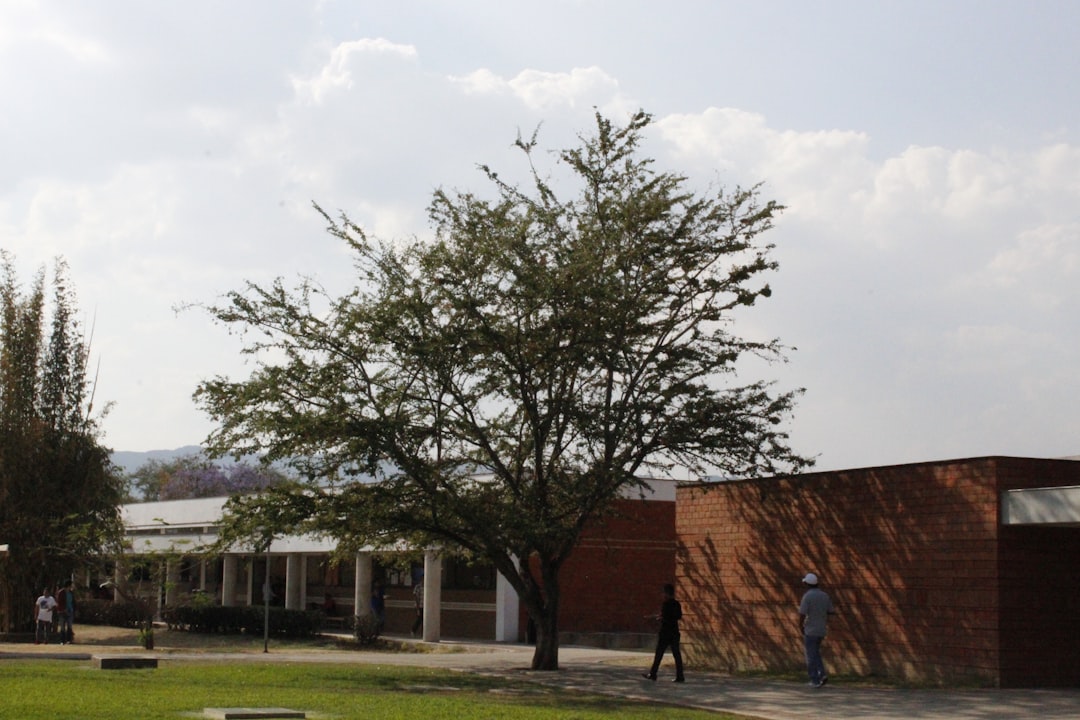 primaria Montessori cerca de Casares - Sotogrande, sede de IMS: un entorno seguro para familias