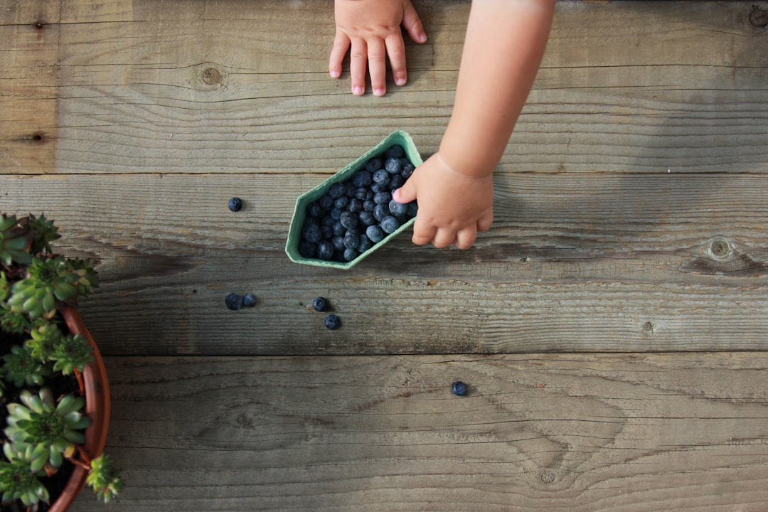 alimentación complementaria del bebé - Niño pequeño comiendo de forma autónoma en una silla Montessori