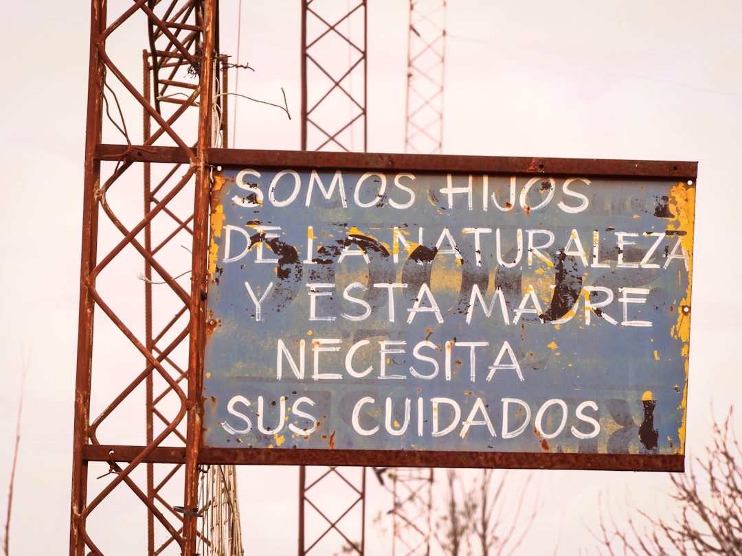 mis hijos no me hacen caso - En el aula Montessori, cada niño trabaja con su propio ritmo.