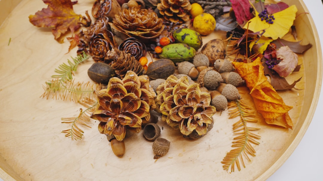 estimulación sensorial infantil - Materiales sensoriales naturales en un aula Montessori del Nido