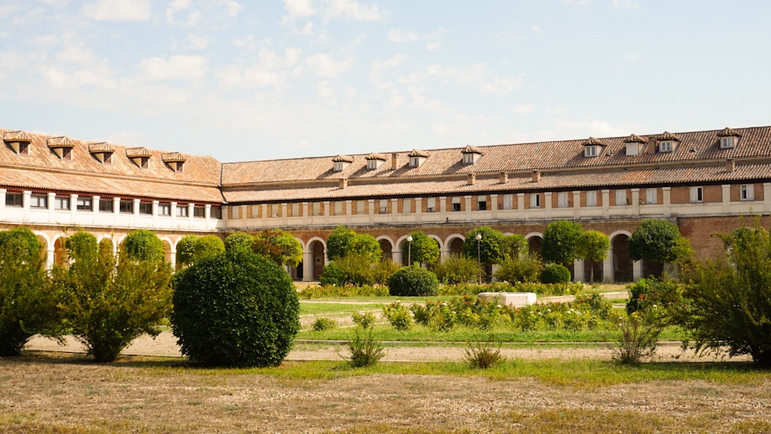 Primaria Montessori en Marbella precio - Instalaciones del colegio Montessori en Sotogrande con zonas al aire libre