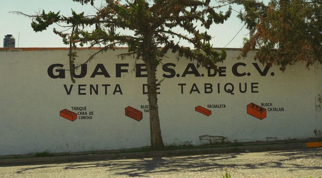 Puntos clave