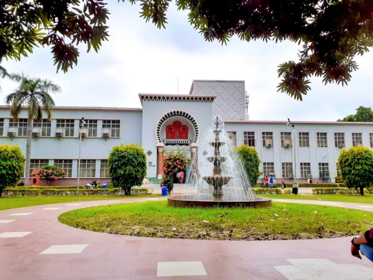 Montessori Schule Sotogrande: Leitfaden für Familien
