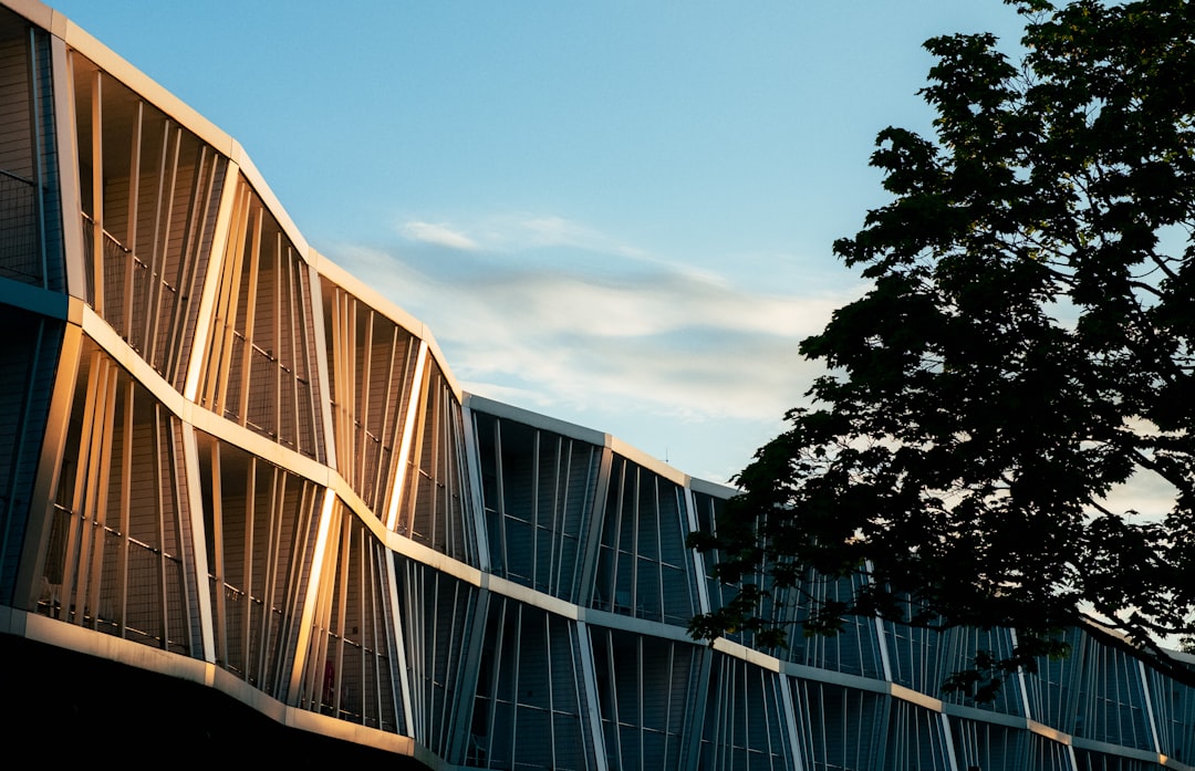 escuela bilingüe en San Roque - Instalaciones modernas y luminosas de un centro educativo