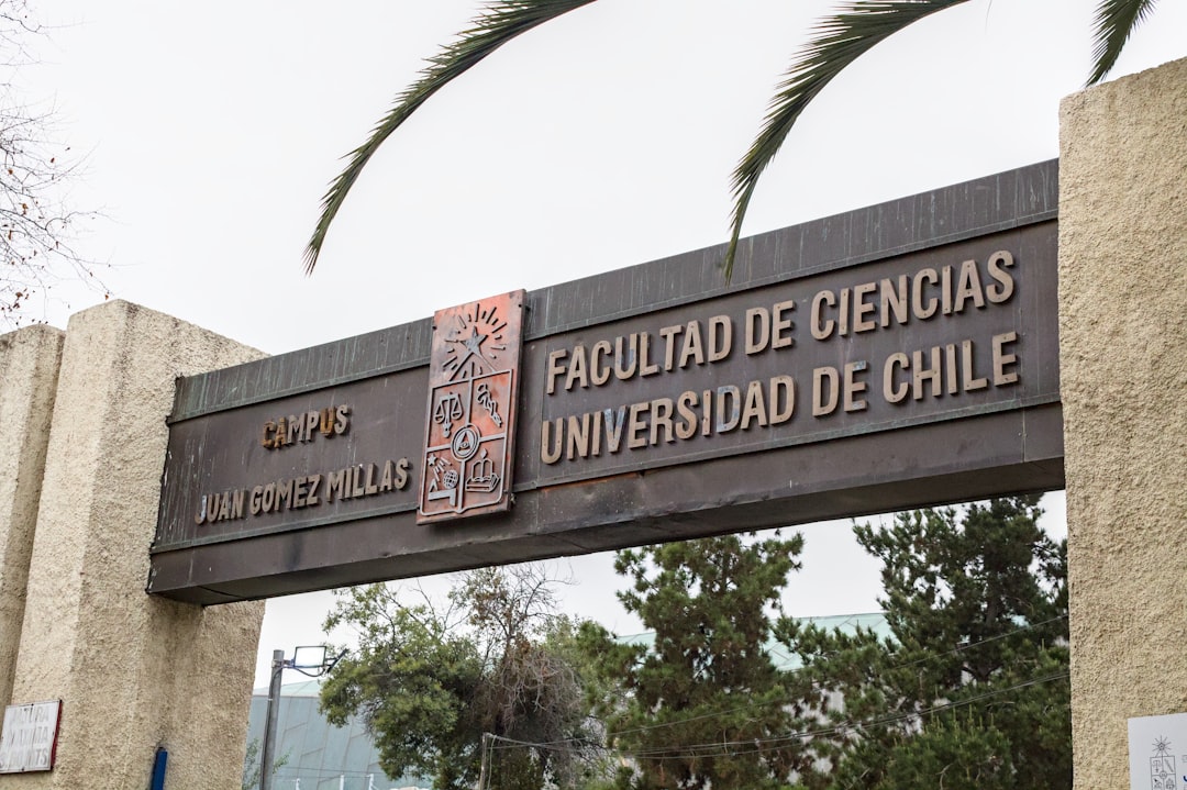 centro bilingüe en Estepona - Colegio bilingüe en Estepona