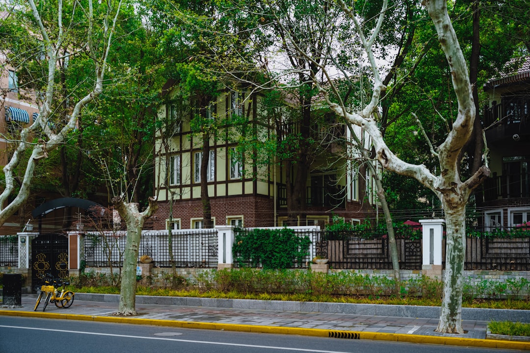 escuela bilingüe en Estepona - Aprendizaje colaborativo en un entorno multilingüe