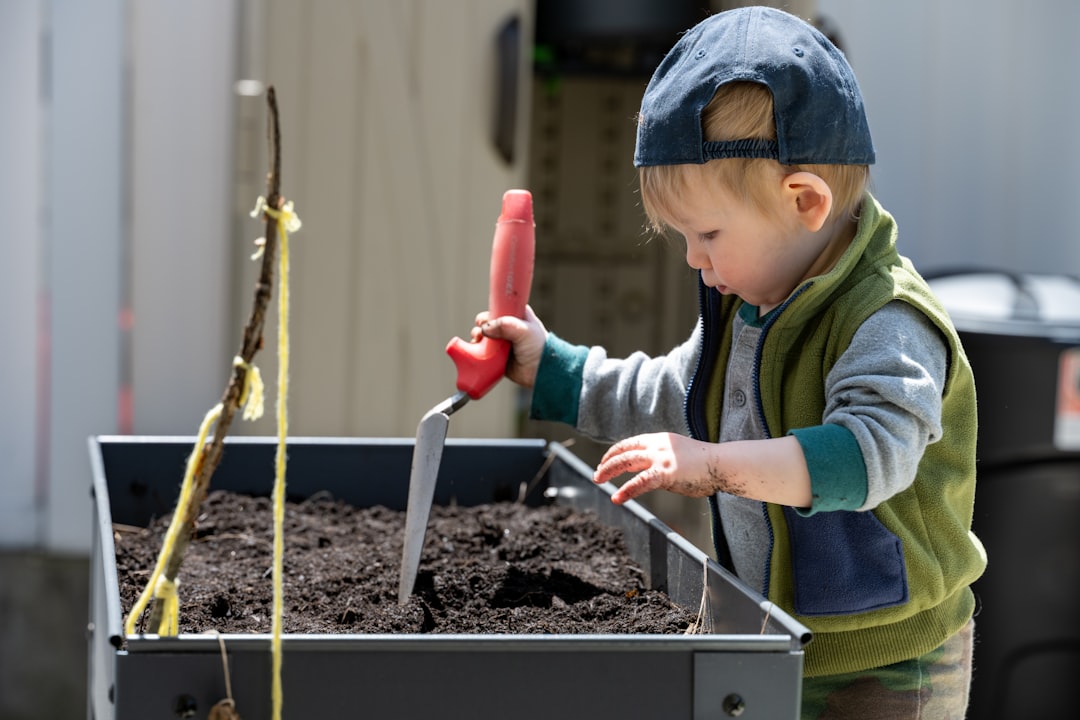 Manualidades para niños de 10 años - Manos de un niño plantan un jardín en miniatura con crasas.