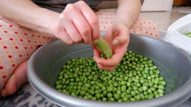 Preparar alimentos blandos facilita las primeras experiencias del bebé.