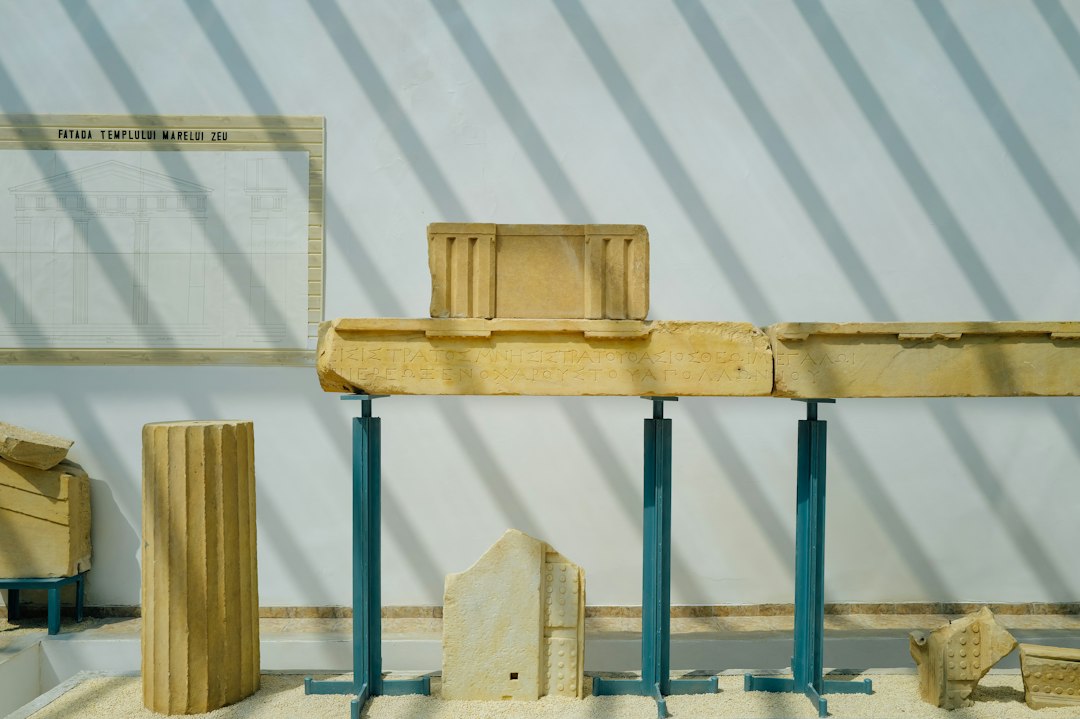 montessori kindergarten - Materiales Montessori ordenados y accesibles en el aula.