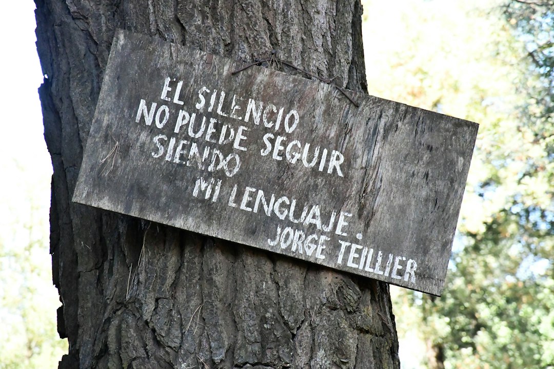 vínculo afectivo - Una figura estable en el aula da continuidad al vínculo fuera de casa.